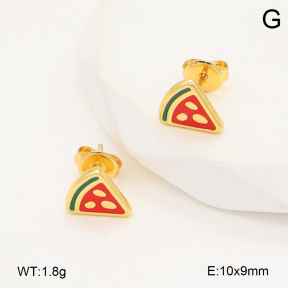 2E3003987avja-446  Stainless Steel Earrings