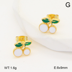 2E3003988avja-446  Stainless Steel Earrings