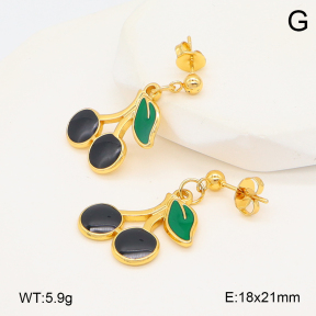 2E3003992vajj-446  Stainless Steel Earrings