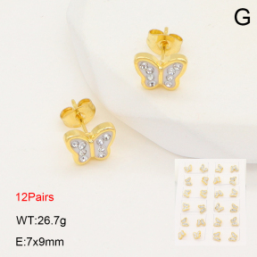 2E4004928ainm-446  Stainless Steel Earrings