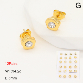 2E4004929bihm-446  Stainless Steel Earrings