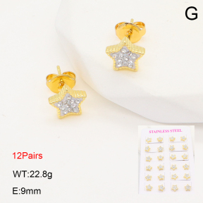 2E4004930ainm-446  Stainless Steel Earrings