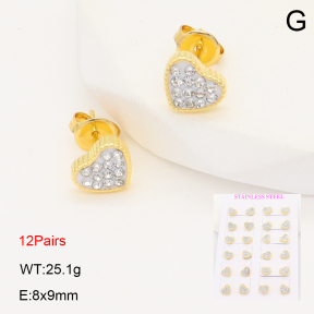 2E4004931ainm-446  Stainless Steel Earrings