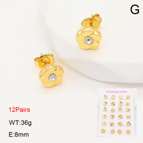 2E4004934bihm-446  Stainless Steel Earrings