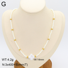 2N3003266bbml-712  Stainless Steel Necklace