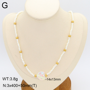 2N3003267bbml-712  Stainless Steel Necklace