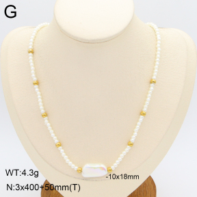 2N3003268vbnb-712  Stainless Steel Necklace