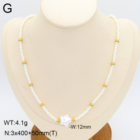 2N3003269bbml-712  Stainless Steel Necklace