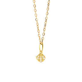 6N4004638aakl-691  Necklace Size：40+5cm  Stainless Steel Necklace  DN0119G