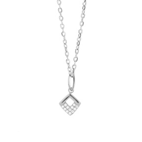 6N4004641avja-691  Necklace Size：40+5cm  Stainless Steel Necklace  DN0121