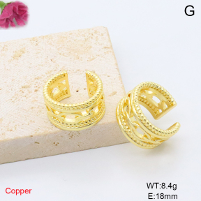 F6E200862ablb-L017  Fashion Copper Earrings