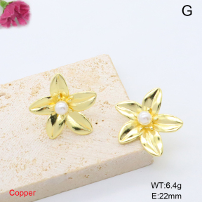 F6E302144baka-L017  Fashion Copper Earrings