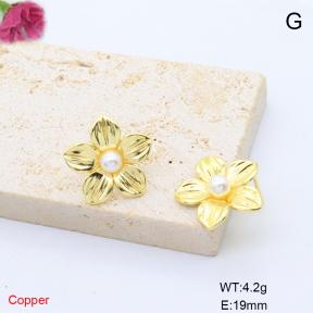 F6E302155ablb-L017  Fashion Copper Earrings