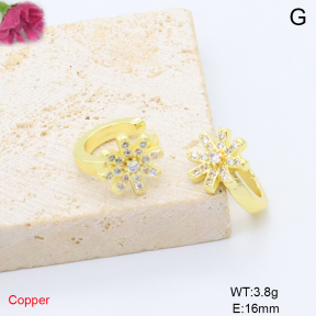 F6E405869ablb-L017  Fashion Copper Earrings