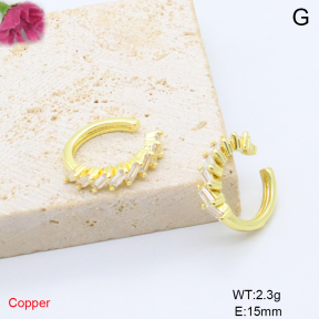 F6E405870ablb-L017  Fashion Copper Earrings
