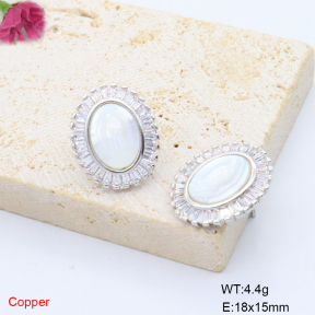 F6E405890ahjb-L017  Fashion Copper Earrings