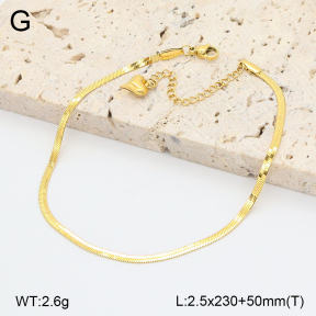 2A9001836vbmb-669  Stainless Steel Anklets