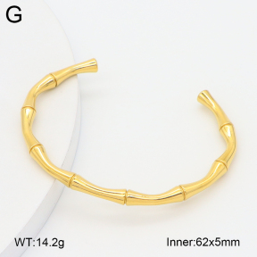 2BA202580baka-757  Stainless Steel Bangle