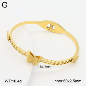 2BA202583vbpb-757  Stainless Steel Bangle
