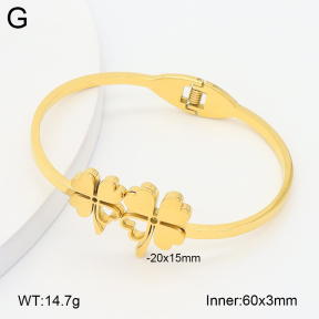 2BA202584vbpb-757  Stainless Steel Bangle