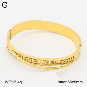 2BA202585vbpb-757  Stainless Steel Bangle