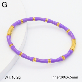 2BA300621bbov-757  Stainless Steel Bangle