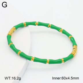 2BA300622bbov-757  Stainless Steel Bangle