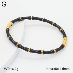 2BA300623bbov-757  Stainless Steel Bangle