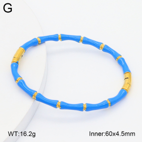 2BA300624bbov-757  Stainless Steel Bangle