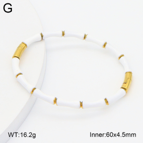 2BA300626bbov-757  Stainless Steel Bangle