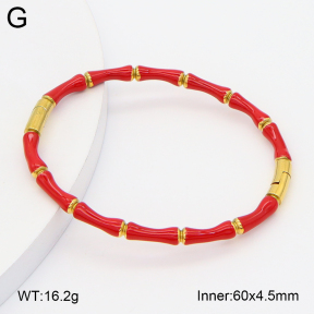2BA300629bbov-757  Stainless Steel Bangle