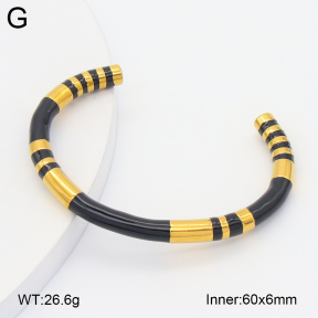 2BA300630bbov-757  Stainless Steel Bangle