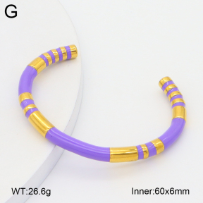 2BA300632bbov-757  Stainless Steel Bangle