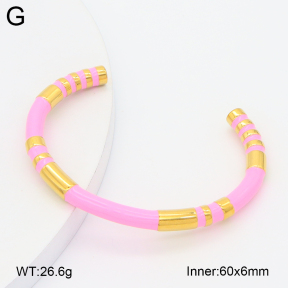 2BA300633bbov-757  Stainless Steel Bangle