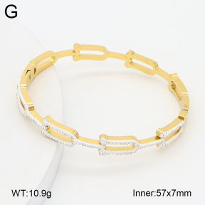 2BA402759bhva-757  Stainless Steel Bangle