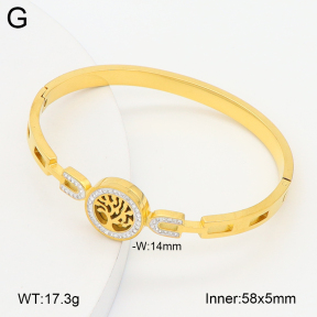 2BA402761bhva-757  Stainless Steel Bangle
