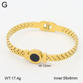 2BA402762vbpb-757  Stainless Steel Bangle