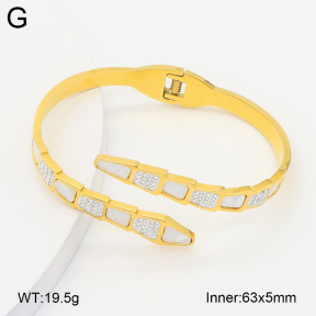 2BA402768bhva-757  Stainless Steel Bangle