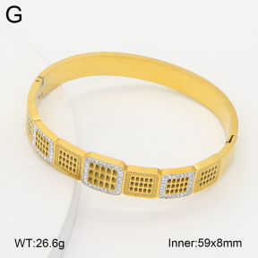 2BA402769bhva-757  Stainless Steel Bangle