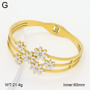 2BA402776vhha-757  Stainless Steel Bangle
