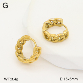 2E2006728vhha-226  Stainless Steel Earrings