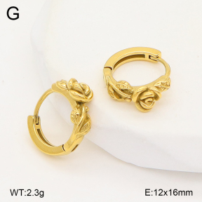 2E2006730vhha-226  Stainless Steel Earrings