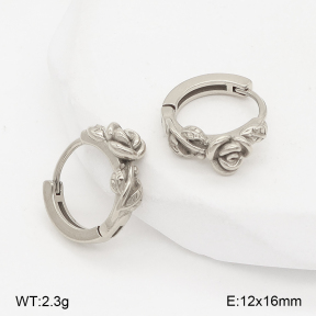 2E2006731vbpb-226  Stainless Steel Earrings