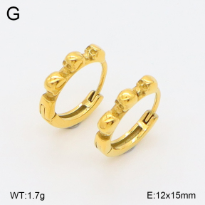 2E2006732vhha-226  Stainless Steel Earrings