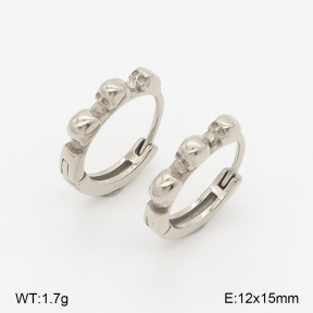 2E2006733vbpb-226  Stainless Steel Earrings