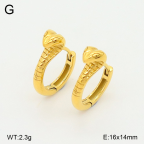 2E2006734vhha-226  Stainless Steel Earrings