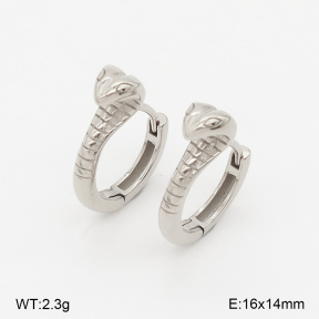2E2006735vbpb-226  Stainless Steel Earrings