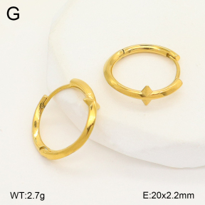 2E2006736vhha-226  Stainless Steel Earrings