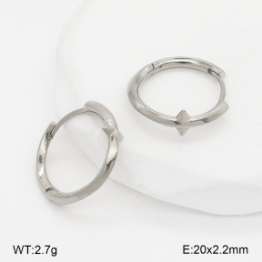 2E2006737vbpb-226  Stainless Steel Earrings