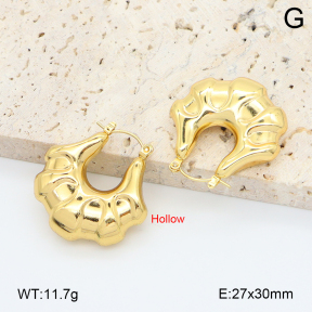 2E2006738vbmb-355  Stainless Steel Earrings